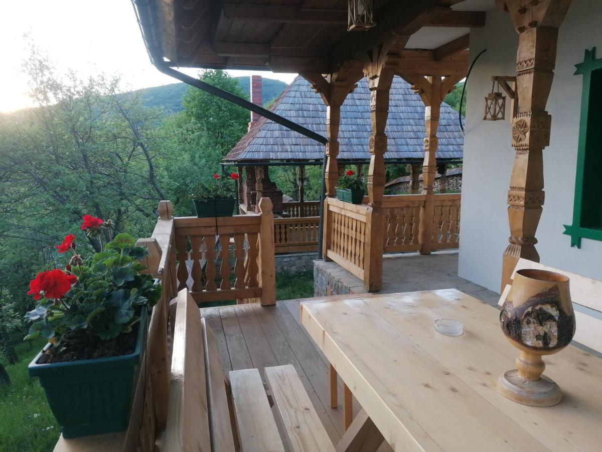 Pensiunea Casuta Din Deal Moisei Exteriér fotografie