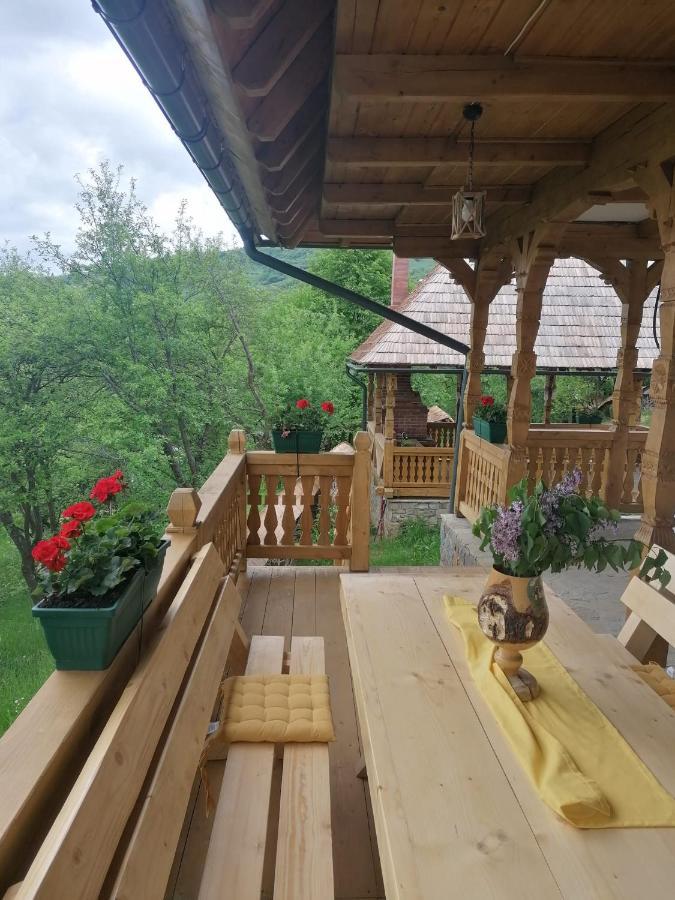 Pensiunea Casuta Din Deal Moisei Exteriér fotografie